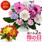 まだ間に合う! 母の日 花 プレゼント ギフト 2025 ラブリーママアレンジ カーネーション ガーベラ 母の日 アレンジメント ネット限定
