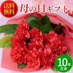 ショッピング母の日 まだ間に合う！ 母の日 花 プレゼント ギフト 2024 花束 赤カーネーション10本の花束 ギフト プレゼント ギフト ネット限定