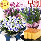 �����J�Ò��I �h�V�̓� �v���[���g ���� ���ǂ� �M�t�g 2026 �������� ���� �J�X�e�� �Z�b�g ���� 80�� 70�� ����������� ���΂������ �c�� �c�� ����