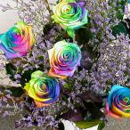  букет роза подарок Rainbow rose день рождения. цветок роза подарок подарок Рождество подарок подарок по случаю конца года . покупка 