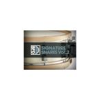 BFD 【ビーエフディーSummer Sale 2026！】BFD3 Expansion Pack: Signature Snares Vol.2 (ビーエフディー)(ドラム音源)(オンライン納品)(2時...