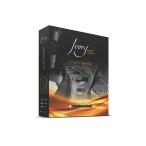 SYNTHOGY 【シンソジーSummer Sale Promo！】Ivory ll Studio Grands(オンライン納品)(2時間以内に納品)