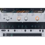 UJAM [ You джем springs распродажа!]Usynth DELUXE ( You джем )( You Synth )( online поставка товара )(2 часов в течение поставка товара )