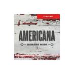 TOONTRACK BASS MIDI - AMERICANA( online поставка товара )(2 часов в течение поставка товара )