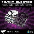 PRIME LOOPS FILTHY ELECTRO HOUSE SESSIONS( online поставка товара )(2 часов в течение поставка товара )