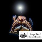 RANKIN AUDIO [ петля тормозные колодки z Hori te- распродажа!]DEEP TECH HOUSE MELODICS( online поставка товара )(2 часов в течение поставка товара )
