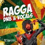 SINGOMAKERS RAGGA DNB & VOCALS(オンライン納品)(2時間以内に納品)