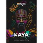 UJAM 【ユージャム International Music Day Sale！】Beatmaker KAYA(オンライン納品)(2時間以内に納品)