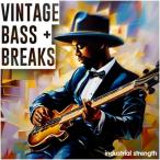 INDUSTRIAL STRENGTH Vintage Bass &amp; Breaks ( Old school )( break Be tsu)( образец упаковка )( online поставка товара )(2 часов в течение поставка товара )