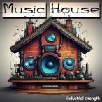 INDUSTRIAL STRENGTH Music House ( house )( Classic house )(UK house )( образец упаковка )( online поставка товара )(2 часов в течение поставка товара )