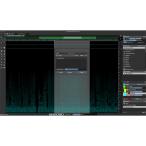 Steinberg SpectraLayers Pro 13 Competitive Crossgrade (クロスグレード版)(スペクトラレイヤーズ)(スタインバーグ)(オーディオ編集)(オー...