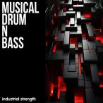 INDUSTRIAL STRENGTH Musical Drum N Bass ( барабан n основа )( hip-hop )( break s)( образец упаковка )( online поставка товара )(2 часов в течение поставка товара )