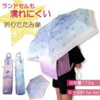 傘 折りたたみ傘 かさ カサ シマエナガ しまえなが 50cm 100cm 軽量 安全 雨 梅雨 子供用 キッズ 女の子 小学生 レディース 携帯用 置き傘 旅行 おでかけ