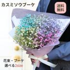 送料無料 かすみ草 花束 カスミソウ レインボー  かすみ草のブーケ ドライフラワー 誕生日 お誕生日 退職 送別 記念日 誕生日 プレゼント サイズが選べる