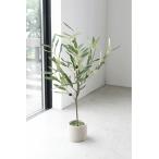 �I���[�u�E�N���g�� ���� �C�~�e�[�V���� �R�x���g�K�[�f�� COVENT GARDEN �t�F�C�N�O���[�� �ϗt�A�� ���� �l�H�ϗt�A�� LG-09 (��������)