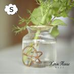 フラワーライフ ボール Ｓ カッパー ＣＯＰＰＥＲ Horn Please 志成販売 303993  植物 花瓶 花留めボール 剣山 抗菌 殺菌 切り花 長持ち ボタニカル SHISEI
