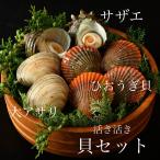 【活】天然　貝セット　（サザエ2個大アサリ2個ひおうぎ貝4個）　海鮮　BBQ　バーベキュー　