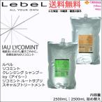 送料無料｜ルベル イオ リコミント クレンジング シャンプー icy （アイシー） 2500mL ＆リコミント ルートサプリ スキャルプトリートメント 2500mL セット