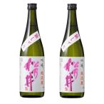 松乃井 吟醸 越淡麗 720ml×2本セット 日本酒 新潟 十日町 地酒 お酒 メーカー直送 のし対応可 松乃井酒造場