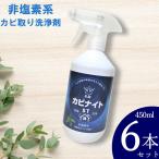 6本セット 乳酸カビナイト ST 450mL スプレーボトル 微香性 ミントの香り 非塩素系 除菌 カビ取り剤 日本製 飛雄商事