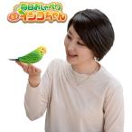 Yahoo! Yahoo!ショッピング(ヤフー ショッピング)タカラトミー 毎日おしゃべり 天才インコちゃん 面白いインコ おもちゃ 鳥 オモチャ 音声認識人形 　TAKARATOMY