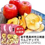 【訳アリ品】お徳用 岩手県奥州市江刺産 りんごチップス APPLE CHIPS 100g×2袋 ドライフルーツ 小沢商会 代引き不可