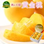 山形県産 黄金桃 桃 2kg 5〜10個 訳あり品 有機栽培 産地直送 果物 フルーツ ギフト 贈答品 お中元 8月下旬からお届け mm_ow