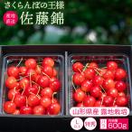 さくらんぼ 佐藤錦 果物 山形県品評会1位 農林水産大臣賞 600g 特秀品 Lサイズ以上 バラ 贈答 6月中旬からお届け S-01
