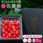 さくらんぼ 佐藤錦 果物 山形県品評会 農林水産大臣賞 300g 特秀品 Lサイズ以上 バラ ギフト 6月中旬からお届け S-03