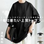 特別送料無料 カットジョーゼットブラウス ブラウス レディース トップス 長袖・再再販。500ptメール便可