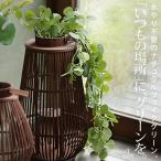  поддельный eucalyptus green подвешивание ниже интерьер смешанные товары зеленый * почтовая доставка не возможно 