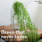  Karl leaf искусственная зелень интерьер подвешивание ниже модель * почтовая доставка не возможно 