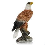 [Mr.Eagle][ новый товар ] Mr. Eagle ( ястреб )kalas.szme и т.п.. дикая птица . эффект величайший!.. глаз .. птица ... платить .! класть только!