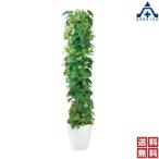  искусственный цветок зеленый tree lime pothos 935-63 ( производитель прямая поставка / наложенный платеж расчет не возможно )