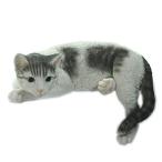 [ファンシー] ネコ サバトラ 猫 置物 母の日贈り物 インテリア ガーデニング ガーデンオーナメント 猫 好き な 人 へ ca79