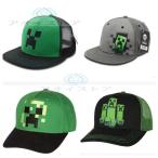 マインクラフトグッズ Minecraft マイ