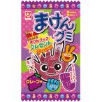 まけんグミ グレープ味 ２０入　駄菓子 子供会 景品 お祭り くじ引き 縁日