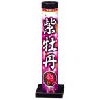  фиолетовый ..5 входить удар сверху фейерверк Children's Meeting детский сад уход за детьми . подарок праздник . день 