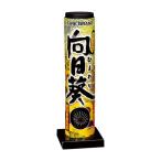  подсолнух 1 шт удар сверху фейерверк Children's Meeting детский сад уход за детьми . подарок праздник . день 