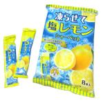金城製菓 凍らせて塩レモンシャーベット ８本入　駄菓子 子供会 景品 お祭り くじ引き 縁日
