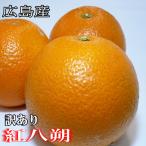ショッピング広島 紅八朔 訳あり 5kg 尾道 広島産 送料無料八朔 紅八朔 家庭用紅八朔 訳あり八朔 はっさく 紅八朔訳あり ハッサク