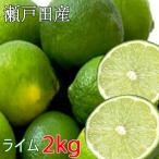 ショッピング広島 国産 ライム 2kg  広島 瀬戸内 瀬戸田産 ノーワックス 防腐剤不使用