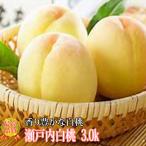 [ прохладный рейс отправка ] Okayama белый персик Seto внутри белый персик 3kg примерно 8 шар ~11 шар белый персик Okayama персик персик .... для превосходящий товар 