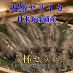  Aomori префектура производство натуральный yali кальмар 5 кубок комплект всего масса примерно 700g. большой кальмар еда . отвечающий . достаточный. 5 кубок комплект натуральный предмет. кальмар. . тест . ощущение . sashimi тоже ... прекрасный тест ..!!