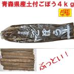  Aomori префектура производство земля имеется gobou L~3L 4kg бесплатная доставка!