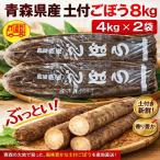  Aomori префектура производство земля имеется gobou L~3L 8kg (4kg×2 пакет ) бесплатная доставка!
