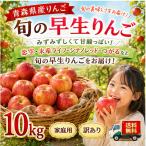 青森県産りんご旬のサンつがる訳あり...