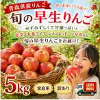 青森県産りんご旬のサンつがる訳あり...