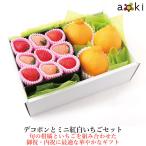 デコポンとミニ紅白いちごセット デコポン いちご 白いちご イチゴ 苺 フルーツギフト 詰め合わせ 果物ギフト 贈り物 誕生日 御祝 プレゼント（クール便）