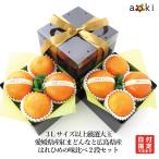 3Lサイズ以上厳選大玉 愛媛県産 紅まどんなと広島県産はれひめの味比べ2段セット はれひめ 紅まどんな3L (常温便)